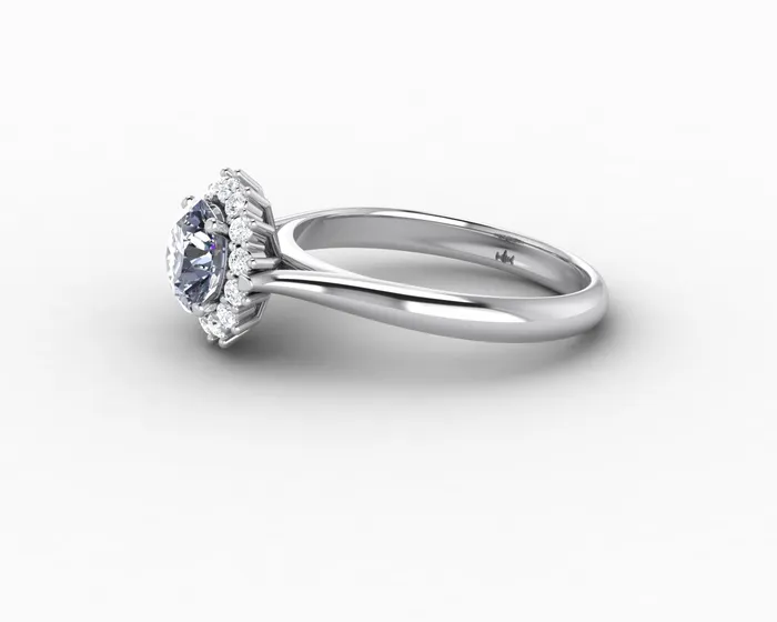 Sapheena Jewelry Maia 100 Ct Round Cut Halo Grey Moissanite Engagement Ring Rings
