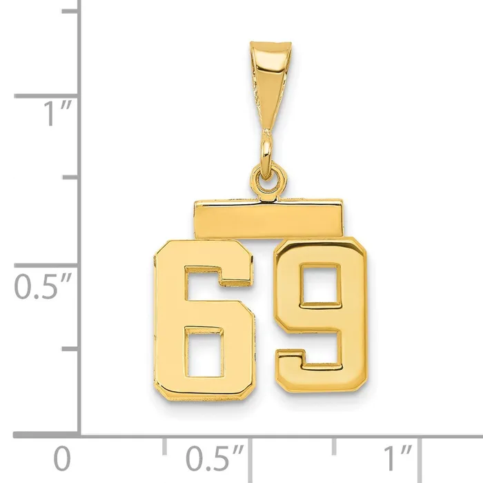 Charm Necklaces 14k Yellow Gold Small Polished Number 69 Charm Goldia