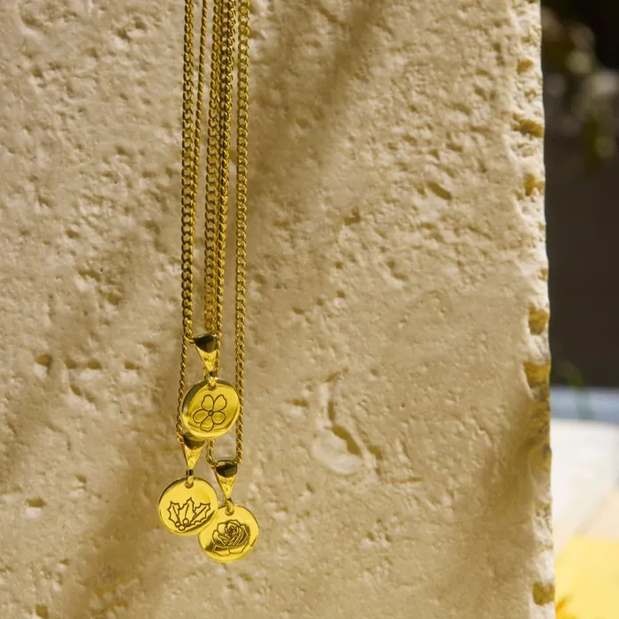 Ema Jewels Necklaces Rose June Birth Flower Pendant Necklace 14K 925 Gold Vermeil