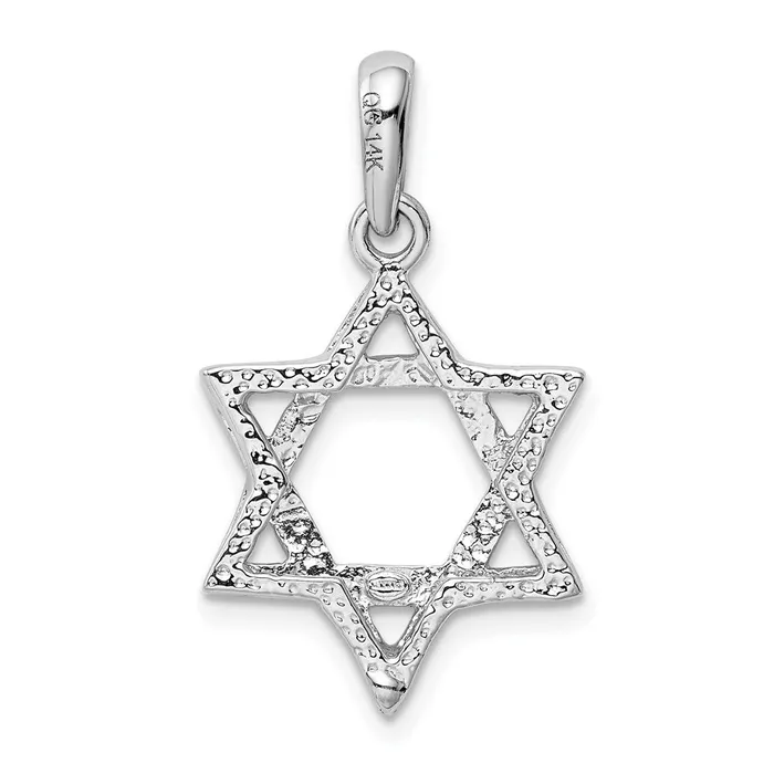 TreasureFineJewelers Necklaces 14k White Gold Star Of David Pendant